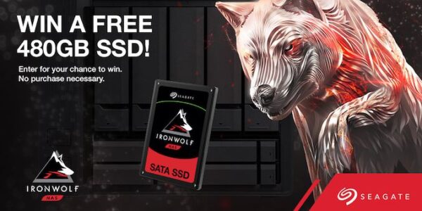 Seagate 480GB IronWolf 110 2.5" SATA NAS SSD (ZA480NM10001)